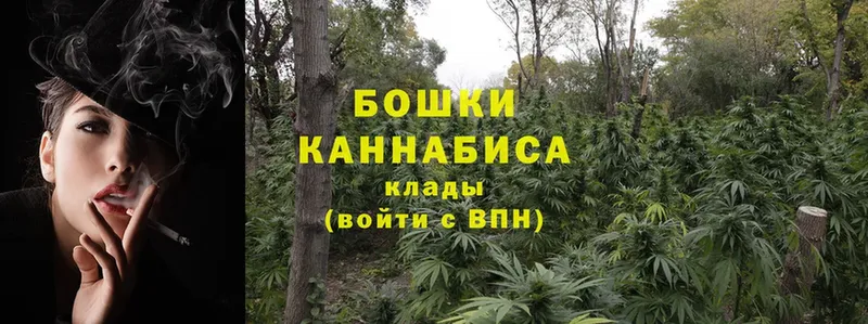 купить наркотик  Жигулёвск  Конопля SATIVA & INDICA 